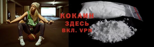 тгк Богородицк