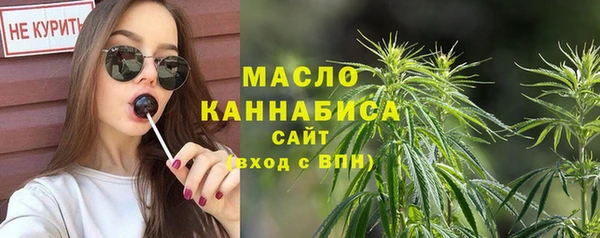 индика Фурманов