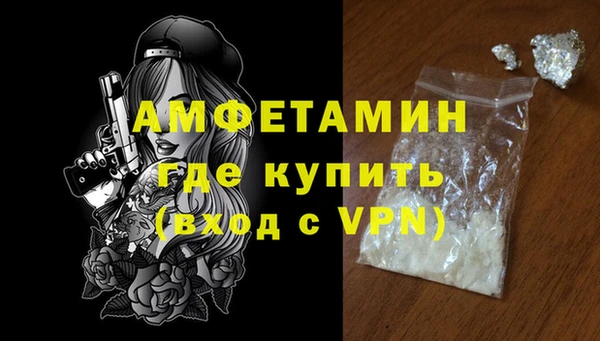 индика Беломорск