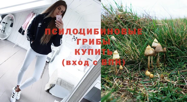 тгк Богородицк