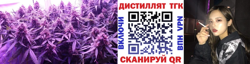 купить наркоту  Волосово  ТГК THC oil 